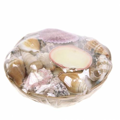 Floristik24 Shell mix in a natural basket Ø15cm 420g