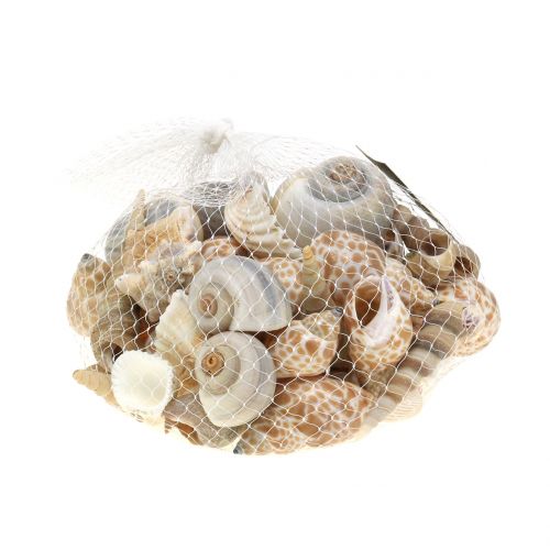 Floristik24 Shell mix natural 500g