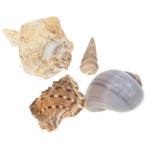 Mussel mix nature 500g