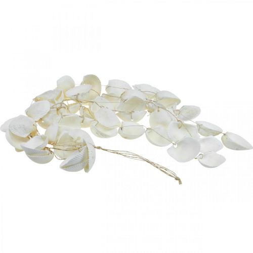 Floristik24 Shell garland Maritime decoration shell garland L87cm