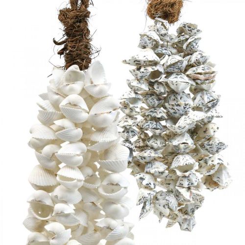 Floristik24 Shells shell necklace shell pendant deco maritime 2pcs