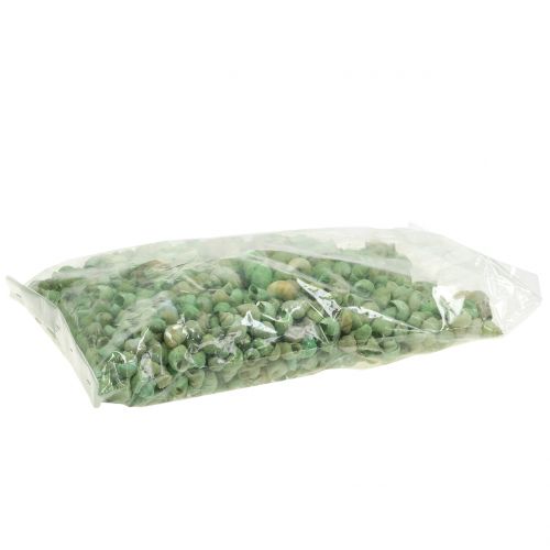 Floristik24 Snail shell assortment green 1kg