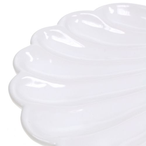 Floristik24 Decorative shell shell white 15cm x 16cm 3pcs