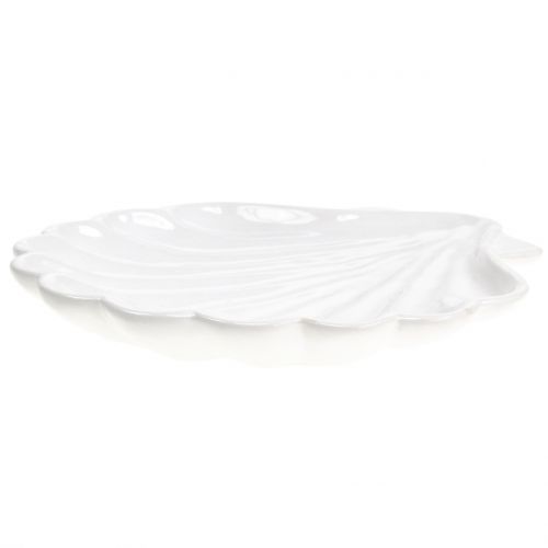 Floristik24 Decorative shell shell white 15cm x 16cm 3pcs