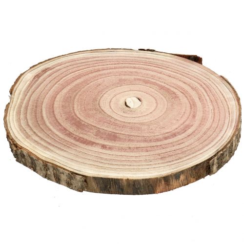 Floristik24 Tree disc bluebell tree natural Ø20-24cm 1 pc