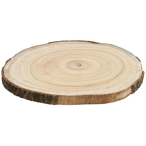 Product Tree slice bluebell tree natural Ø30-35cm 1pc