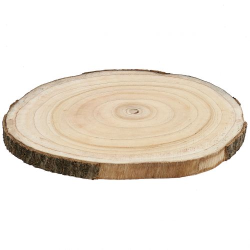 Product Tree slice, bluebell tree, natural, Ø30-35cm, DIY wood slice, Paulownia