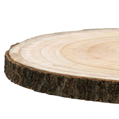 Product Tree slice, bluebell tree, natural, Ø30-35cm, DIY wood slice, Paulownia