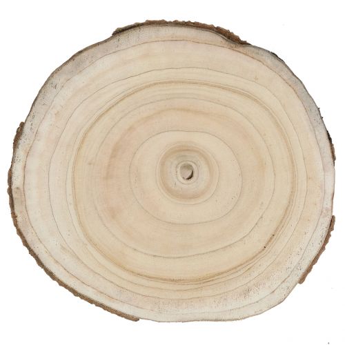 Product Tree slice, bluebell tree, natural, Ø30-35cm, DIY wood slice, Paulownia