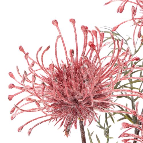 Artificial flower pincushion protea flowering branch 65cm 3pcs | Floristik24.ie