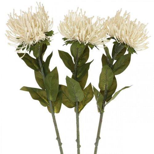Pincushion artificial flowers exotic protea leucospermum cream 73cm 3pcs