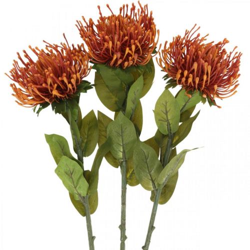Product Pincushion Exotic Artificial Flower Orange Leucospermum Protea 73cm 3pcs
