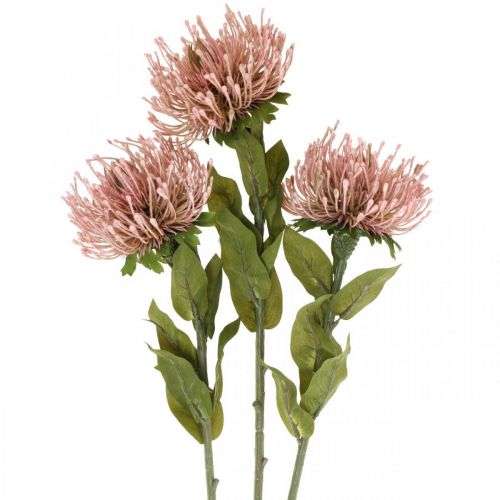 Product Autumn flower pincushion artificial Protea Rosa Leucospermum 73cm 3pcs