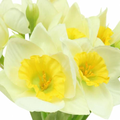 Product Narcissus cream L42cm 3pcs