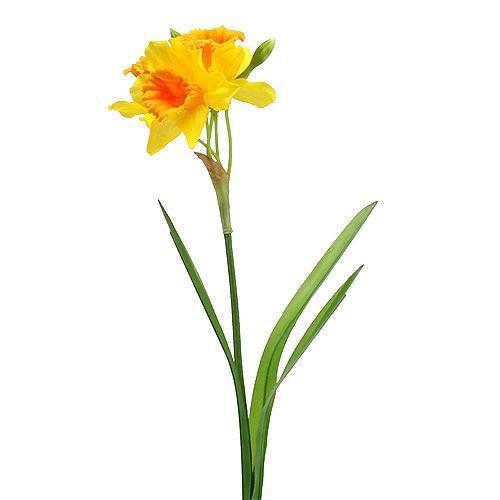 Daffodil yellow L40cm
