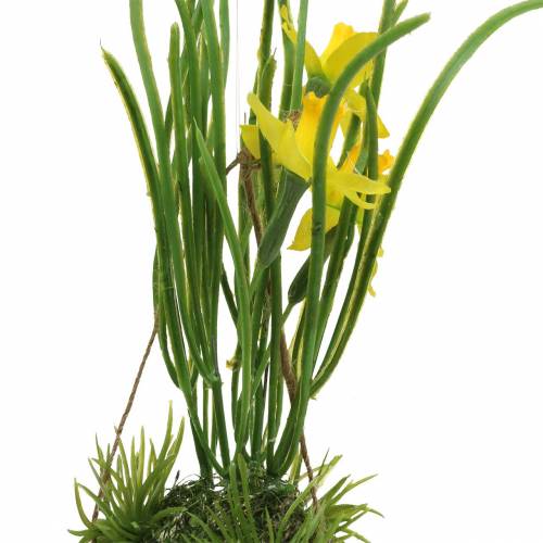 Product Daffodil in the eggshell to hang Artificial yellow 25cm