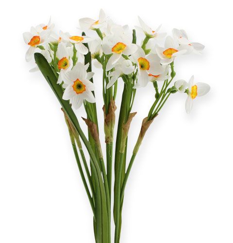 Floristik24 Daffodil bouquet in white 35cm 3pcs