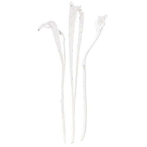 Floristik24 Natraj Exotic dried branches Bleached décor 35-65cm 10pcs