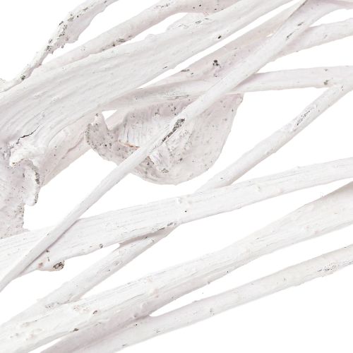 Product Natraj Exotic dried branches Bleached décor 35-65cm 10pcs