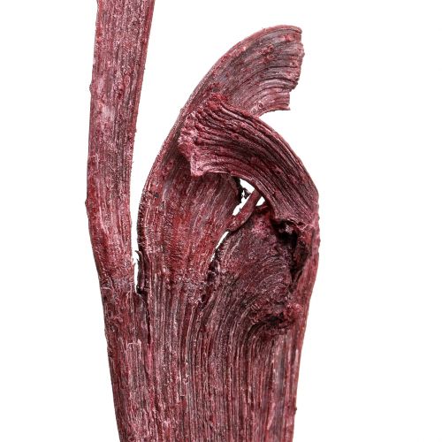 Product Natraj Decorative dried branches Red White washed 10 pcs