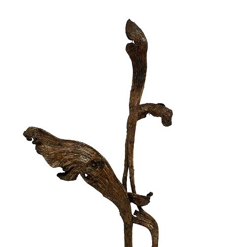 Product Natraj Exotic Dried Branches Natural wood 10pcs