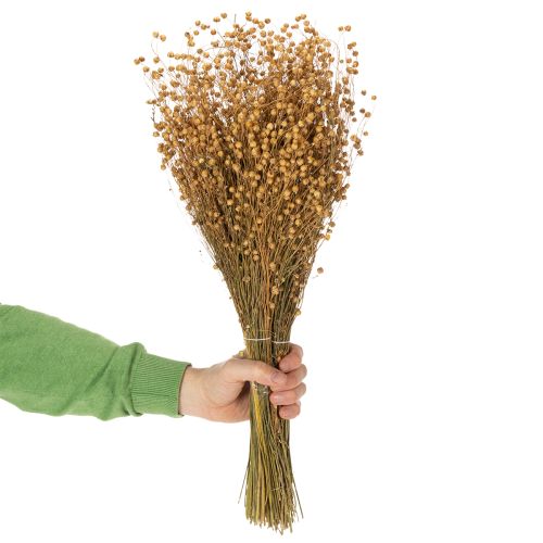 Product Natural flax dried grasses for dried flower arrangements Linum Natur 60cm 180g