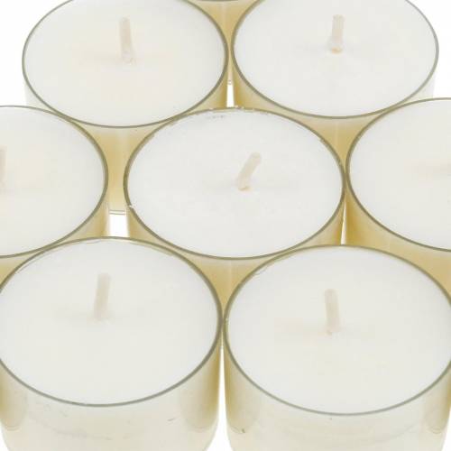 Floristik24 PURE Nature Lights Tealights Rapeseed Wax Natural Burning Time 7 Hours 18 pcs