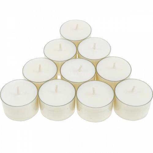 Floristik24 PURE Nature Lights Tealights Rapeseed Wax Natural Burning Time 7 Hours 18 pcs