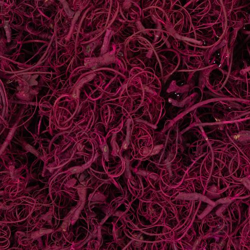 Product Natural Tamarind Fiber Craft Supplies, Burgundy, 500g - Decoration, Floristry, Creative