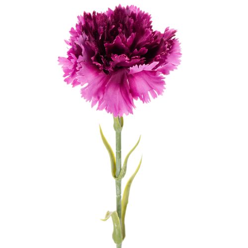 Artificial carnation, two-tone, long stem 56cm, bunch of 8