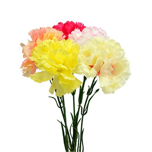 Floristik24 Carnation colored assorted on wire 72 pcs
