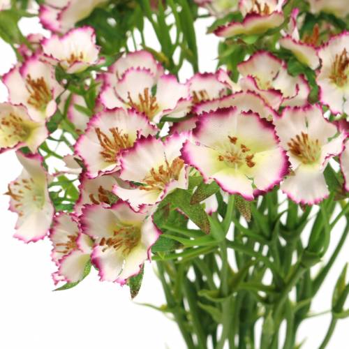 Floristik24 Bunch of Carnations White, Purple 34cm