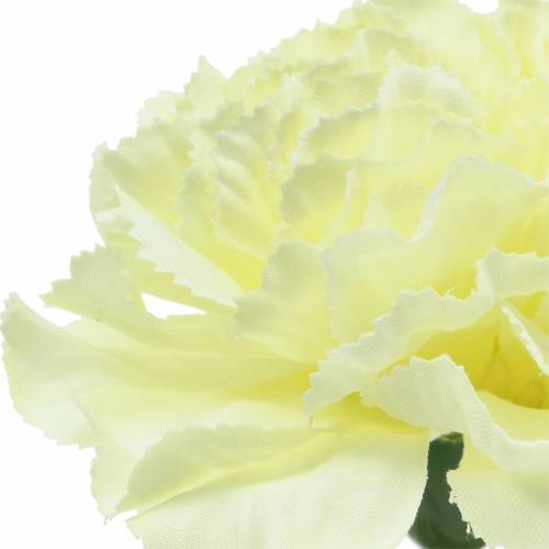 Product Carnation flower white Ø9cm 12pcs