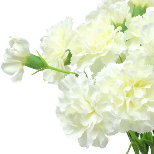 Floristik24 Carnation White 64cm 4pcs