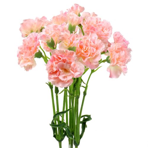 Floristik24 Carnation pink 64cm 4pcs