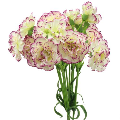 Product Carnation white-purple 64cm 4pcs