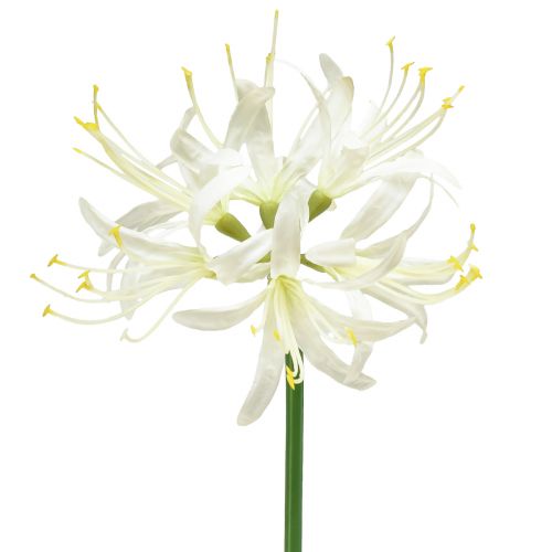 Nerine Guernsey Lily Artificial Flower White Yellow Ø15cm L65cm