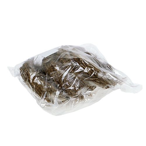 Floristik24 Nest with feathers 15cm natural 4pcs