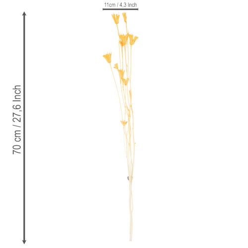 Product Nigella dried flower arrangement for long-term use. Elegant eye-catcher. 70cm 50g