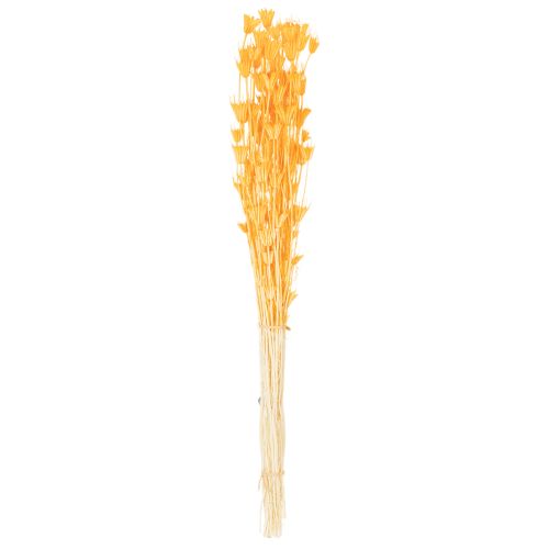 Product Nigella dried flower arrangement for long-term use. Elegant eye-catcher. 70cm 50g