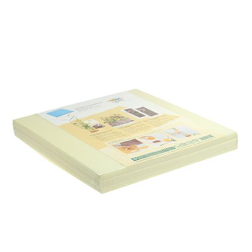 Floristik24 OASIS® Designer Plates Ivory 3 pcs