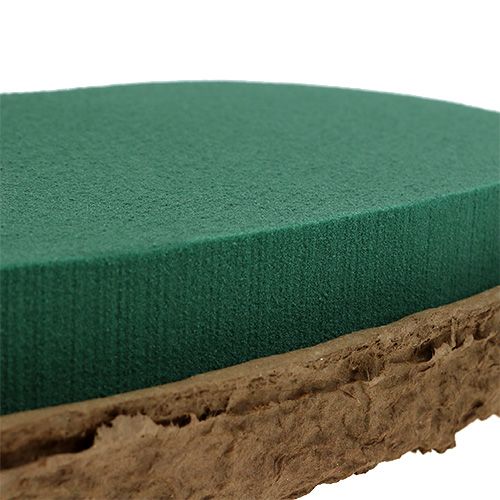 Product OASIS® Biolit® heart large 34cm 2 pcs