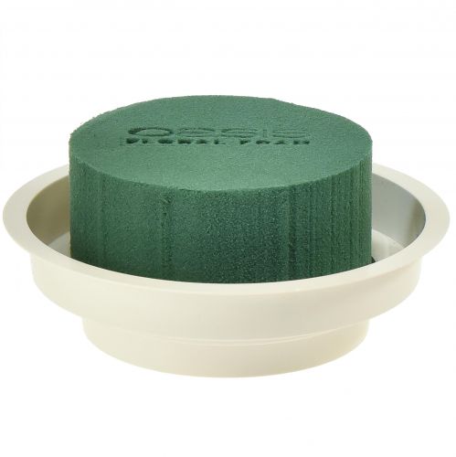 Floristik24 OASIS® Junior Complete 12 pcs