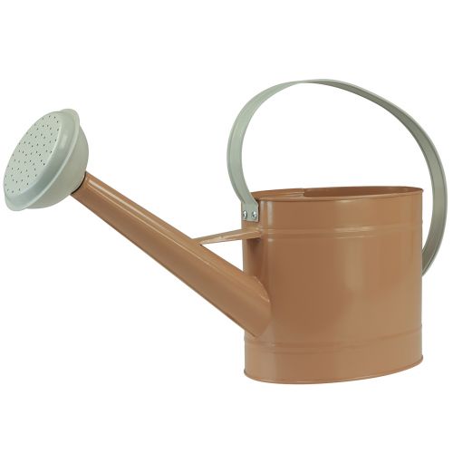 Product Metal decorative watering can, vintage look, light brown, 52.5cm - planter for table decoration &amp; summer decoration