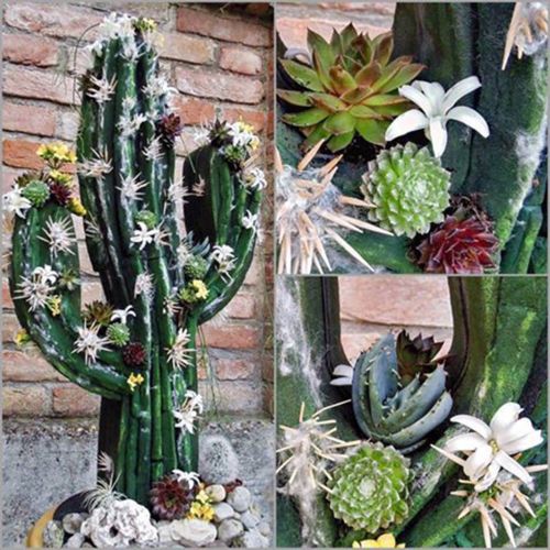 Product Floral foam figure cactus black 38cm x 74cm