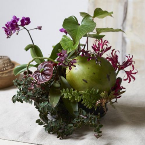 Floristik24 Steckmoos cylinder plugging material black Ø28cm H5cm 2pcs