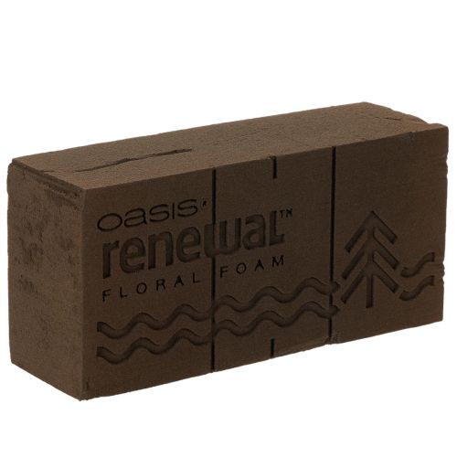 Oasis Renewal Floral Foam 23cm 1 Brick buy online | Floristik24.ie
