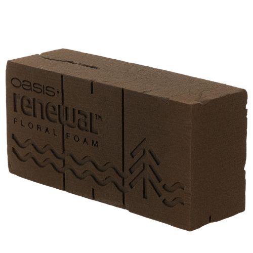 Oasis Renewal Floral Foam 23cm 1 Brick | Floristik24.ie