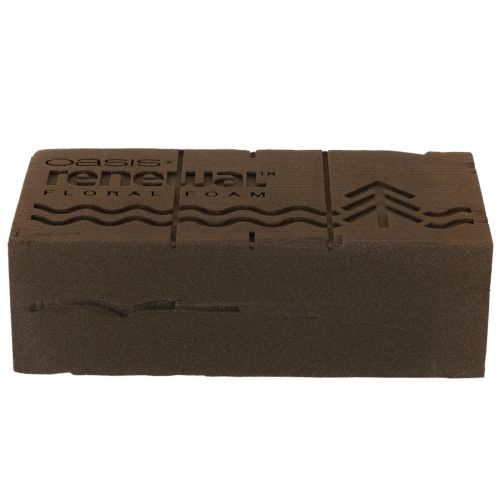 Oasis Renewal Floral Foam 23cm 1 Brick | Floristik24.ie