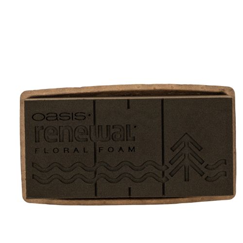 Floral foam 1/1 brick OASIS® Renewal® Floral Foam Biolit® 24cm 2pcs